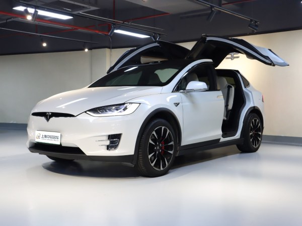 特斯拉 Model X  2020款 Performance 高性能版