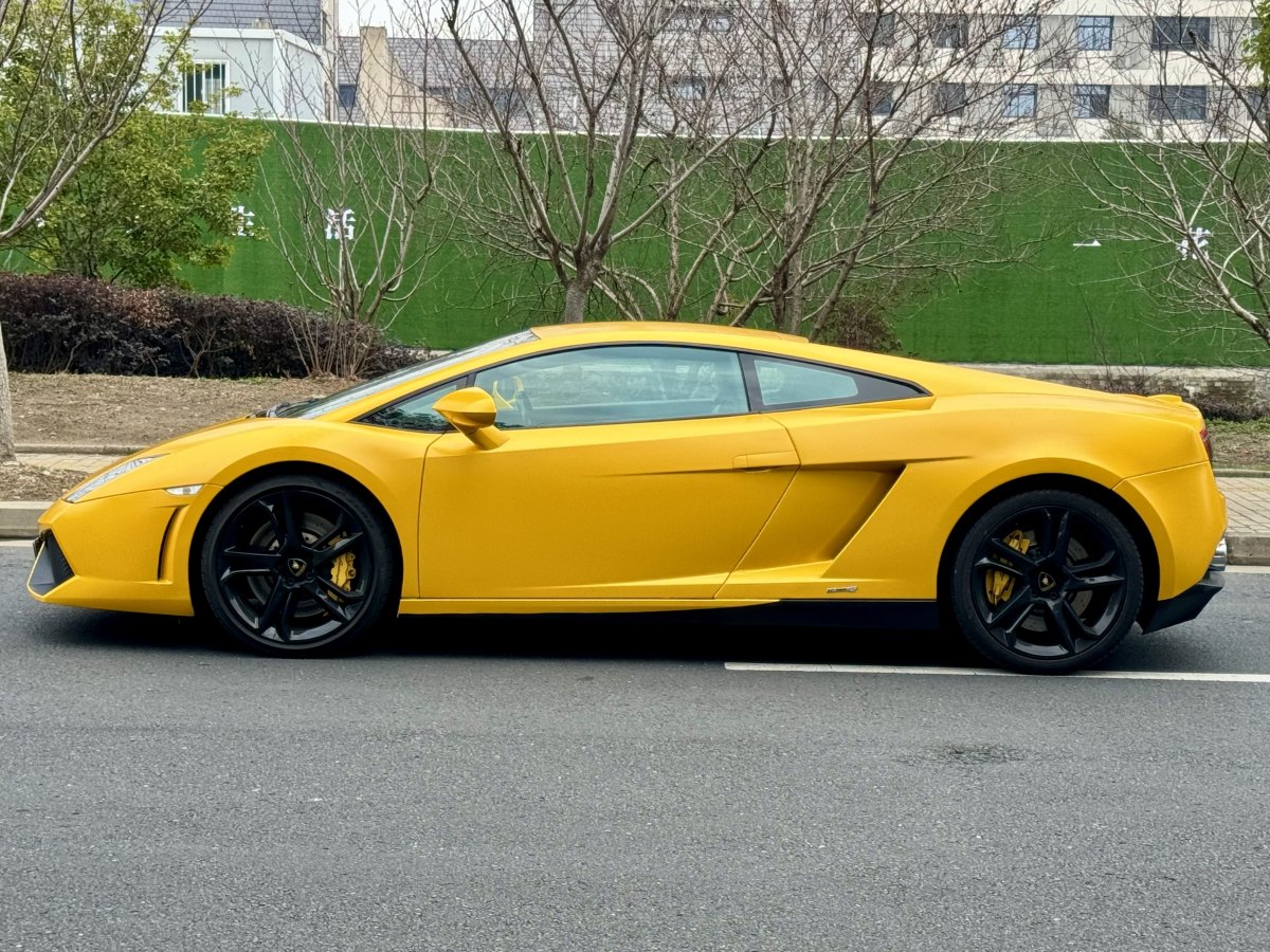 蘭博基尼 Gallardo  2011款 LP 550-2 Tricolore圖片