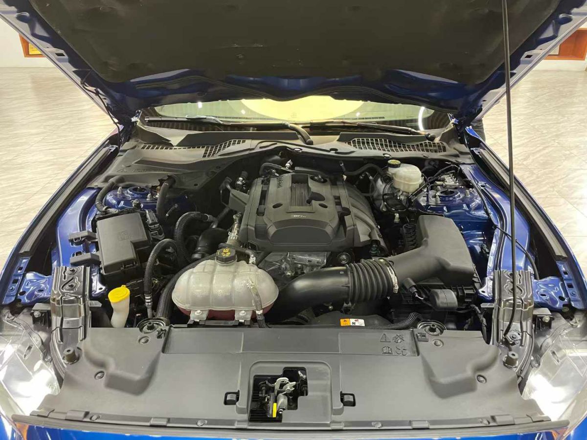 2020年1月福特 Mustang  2020款 2.3L EcoBoost