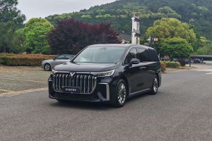 夢想家 嵐圖 PHEV 超長續(xù)航旗艦版