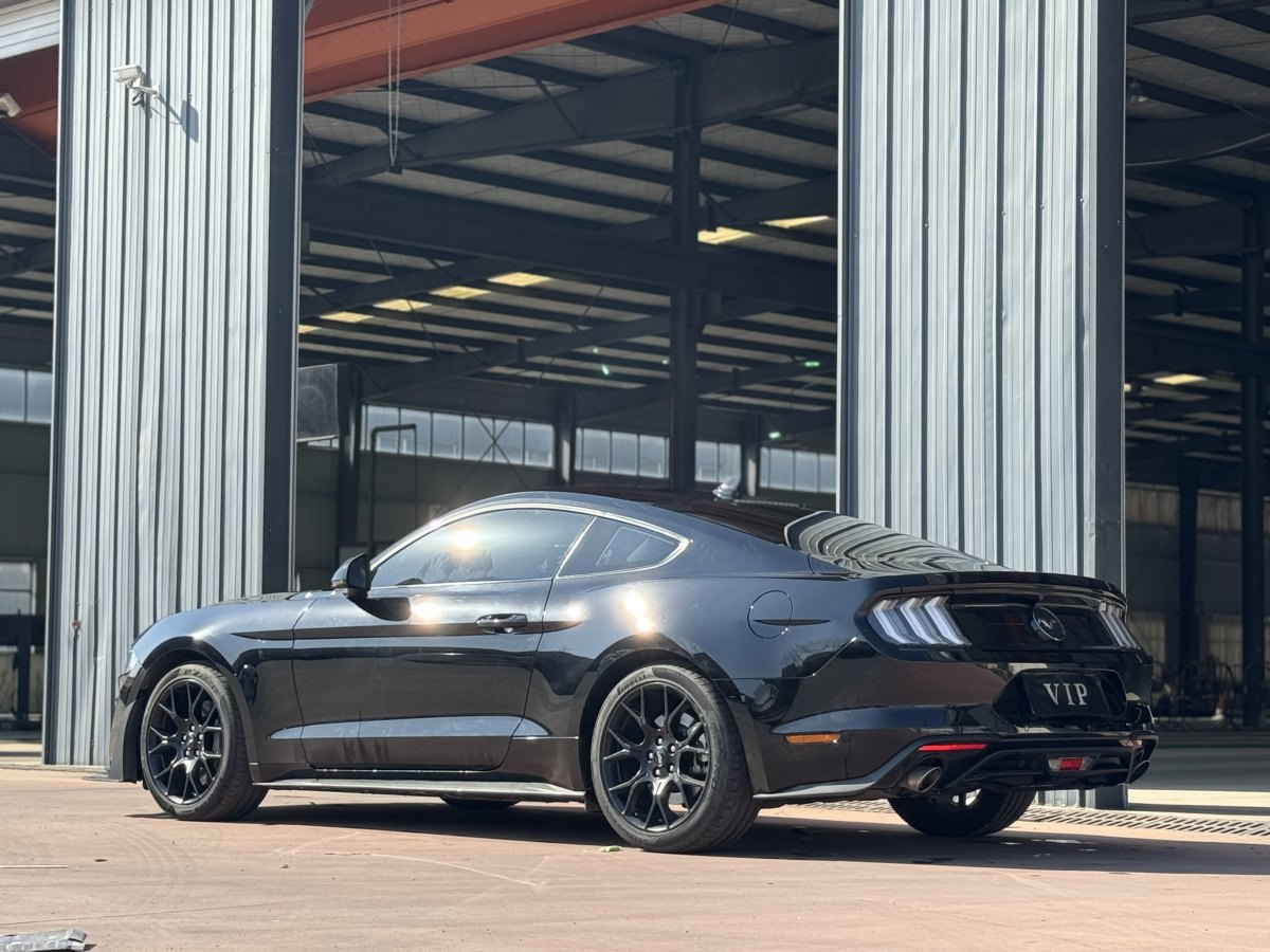 福特 Mustang  2021款 2.3L EcoBoost圖片