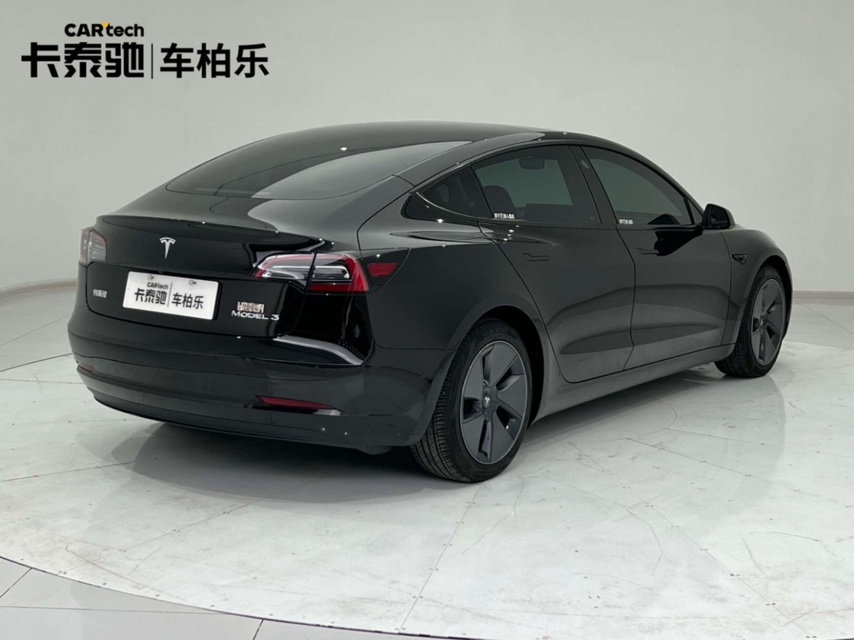 特斯拉 Model 3  2019款 标准续航后驱升级版图片