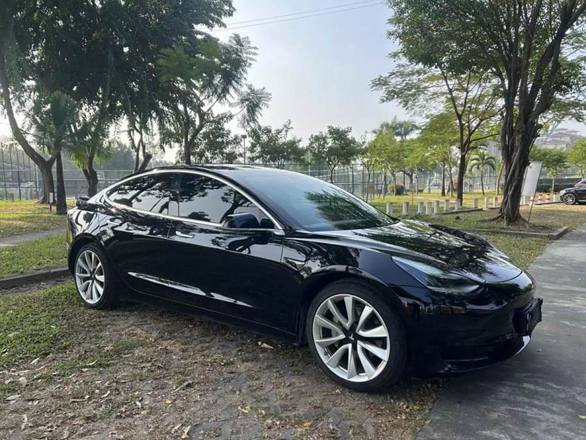 特斯拉 Model 3  2020款 改款 標準續(xù)航后驅(qū)升級版圖片