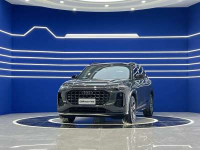 2025年1月 奧迪 奧迪Q6 45 TFSI quattro 齊云型 飛騎套裝圖片