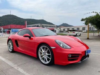 2014年1月 保时捷 Cayman Cayman GTS 3.4L图片