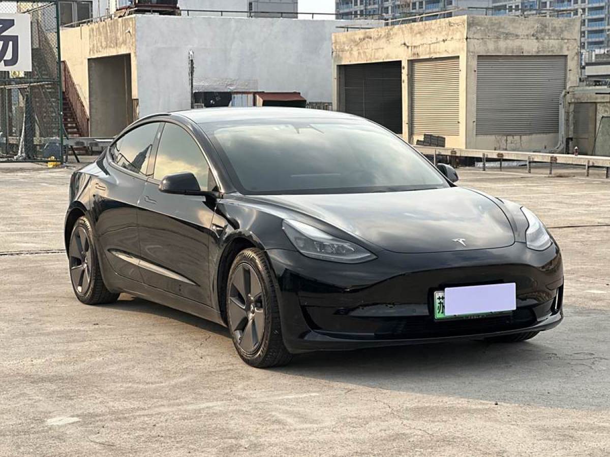 特斯拉 Model 3  2021款 改款 標(biāo)準(zhǔn)續(xù)航后驅(qū)升級(jí)版圖片