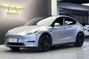 Model Y 特斯拉 后轮驱动版