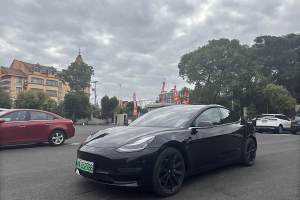 Model 3 特斯拉 改款 长续航后轮驱动版