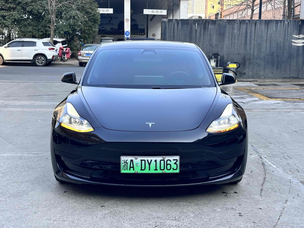 特斯拉 Model 3  2019款 標(biāo)準(zhǔn)續(xù)航后驅(qū)升級(jí)版圖片