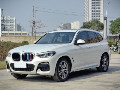 2019年3月 宝马 宝马X3 xDrive30i 领先型 M运动套装 国V图片