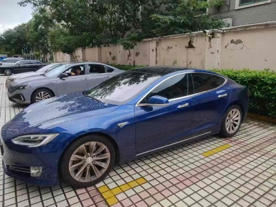 2016年8月 特斯拉 Model S Model S 75D图片