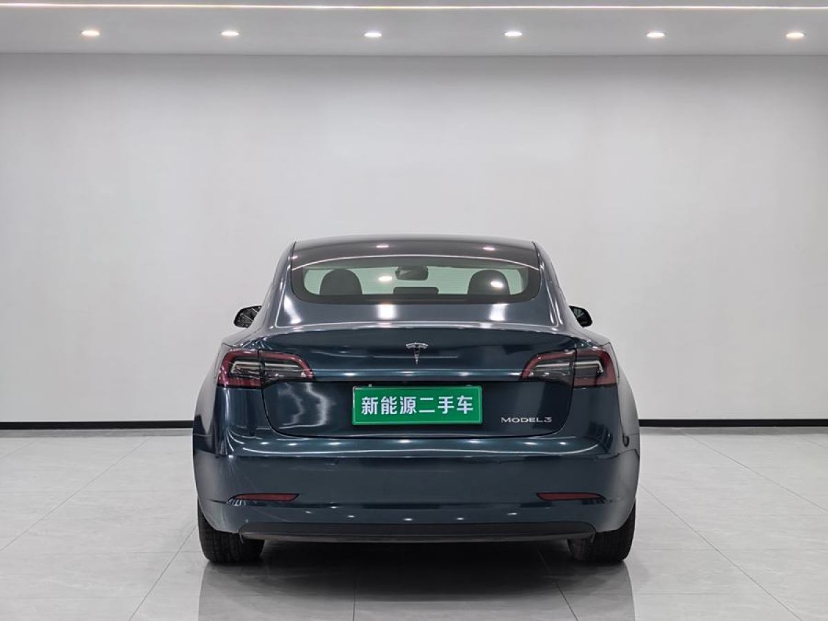 特斯拉 Model 3  2021款 改款 標(biāo)準(zhǔn)續(xù)航后驅(qū)升級(jí)版圖片