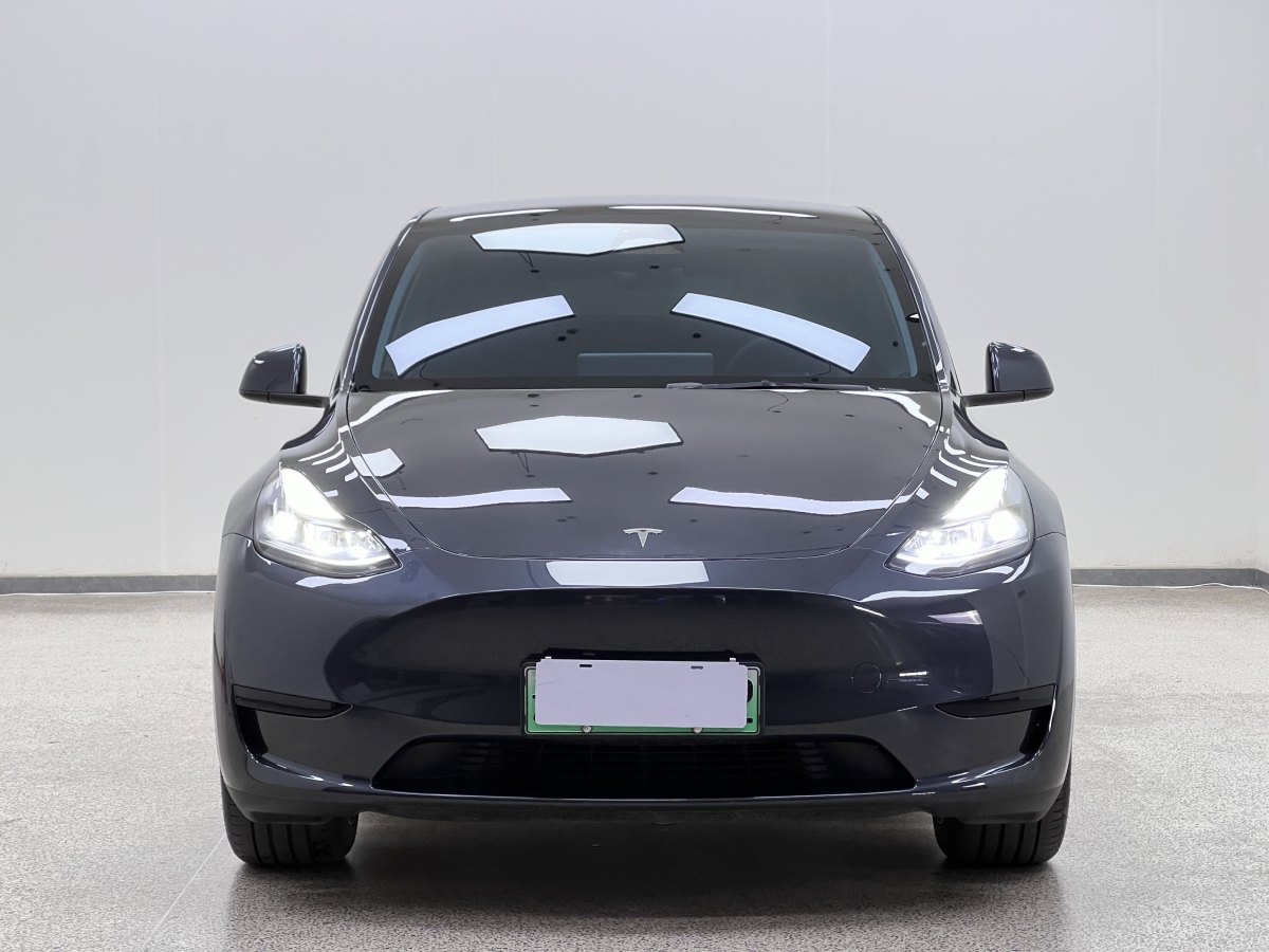 2024年4月特斯拉 Model Y  2020款 改款 長續(xù)航后輪驅(qū)動(dòng)版