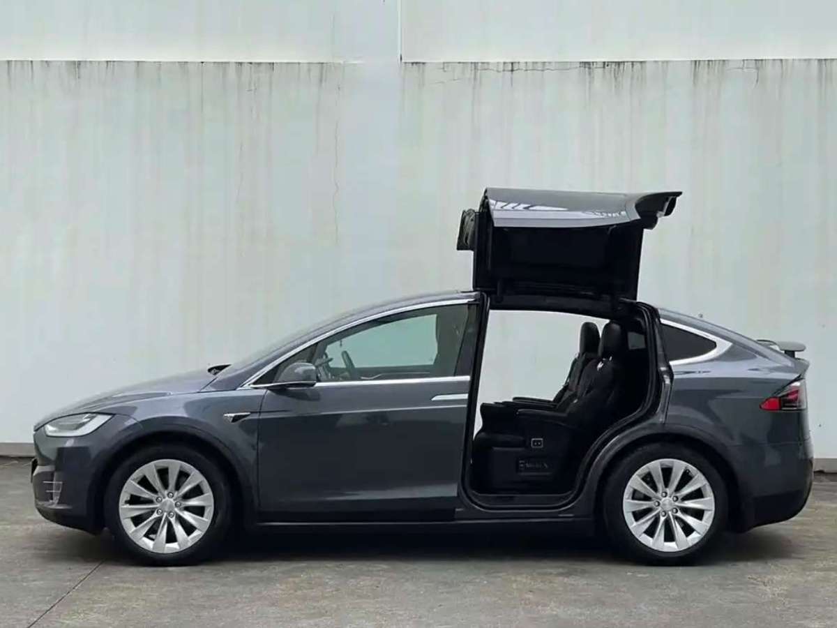 特斯拉 Model X  2016款 Model X 75D圖片