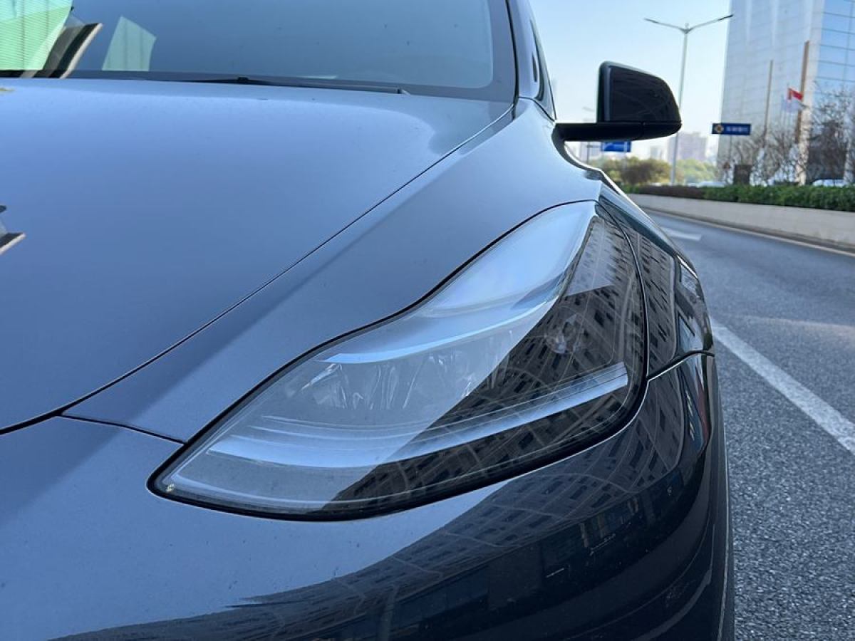 特斯拉 Model Y  2020款 改款 長續(xù)航后輪驅(qū)動版圖片