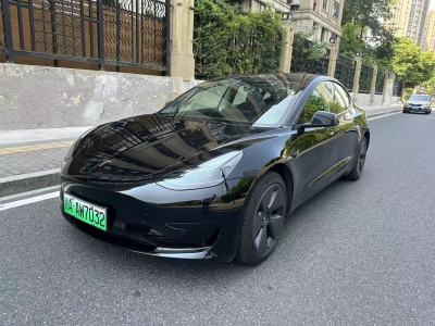 2022年1月 特斯拉 Model 3 图片