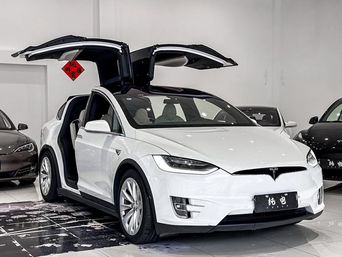 特斯拉 Model X  2020款 長(zhǎng)續(xù)航升級(jí)版圖片