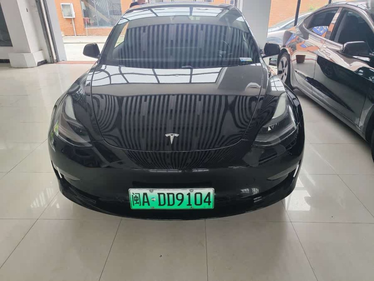 特斯拉 Model 3  2021款 改款 Performance高性能全輪驅(qū)動版圖片