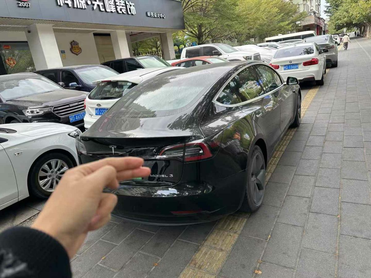 特斯拉 Model X  2020款 Performance 高性能版圖片