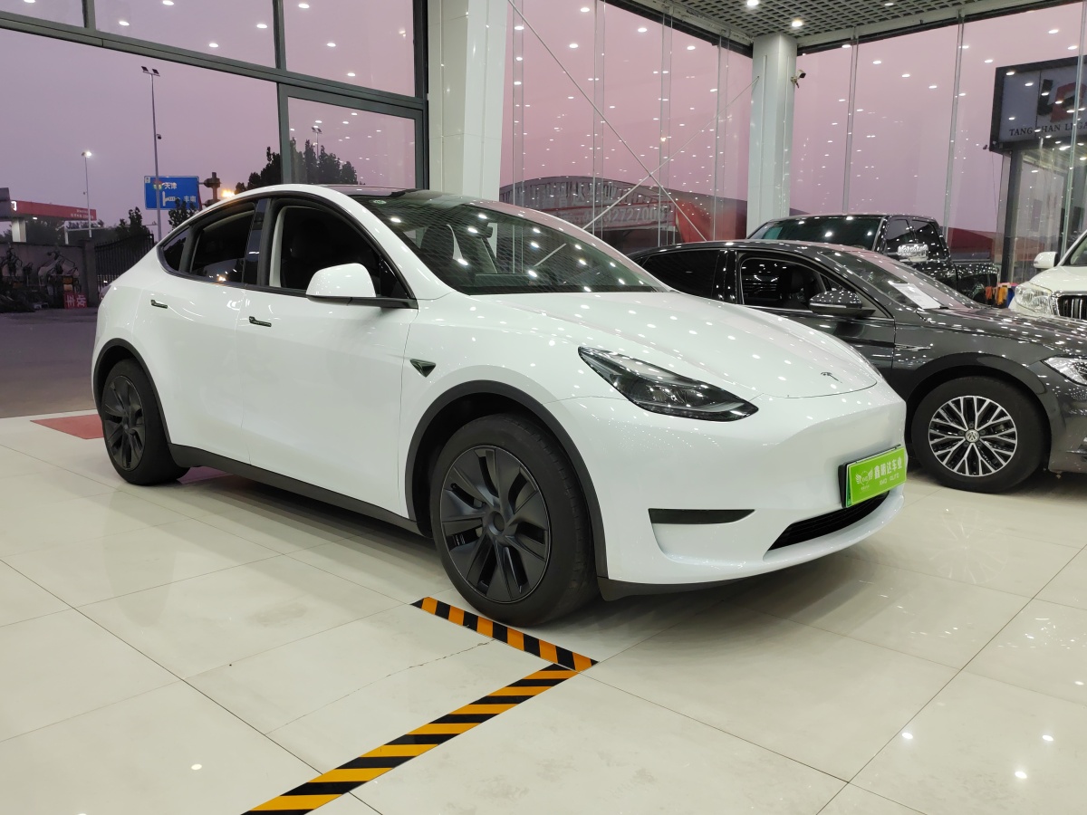 特斯拉 Model 3  2020款 改款 長續(xù)航后輪驅(qū)動(dòng)版圖片