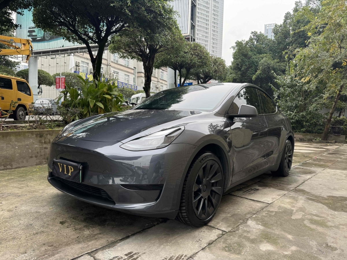 特斯拉 Model 3  2020款 改款 長續(xù)航后輪驅(qū)動版圖片