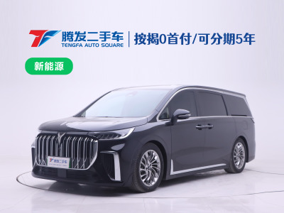 2024年1月 嵐圖 夢(mèng)想家 PHEV 超長(zhǎng)續(xù)航旗艦版圖片