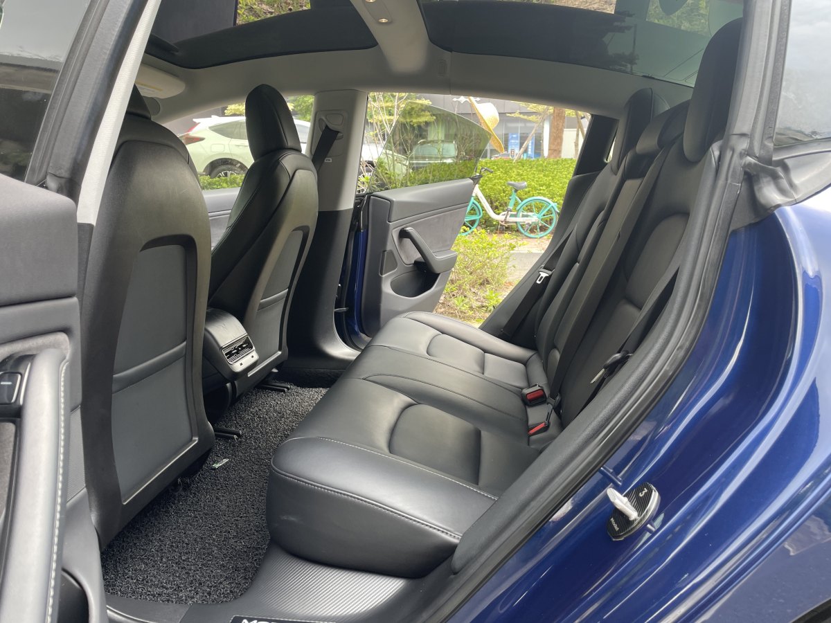 2019年4月特斯拉 Model 3  2019款 長續(xù)航后驅(qū)版