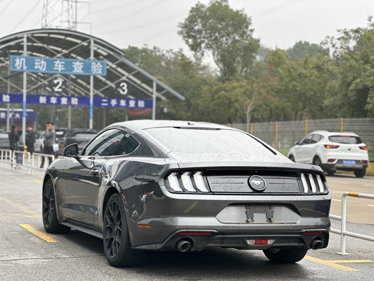 福特 Mustang  2020款 2.3L EcoBoost圖片