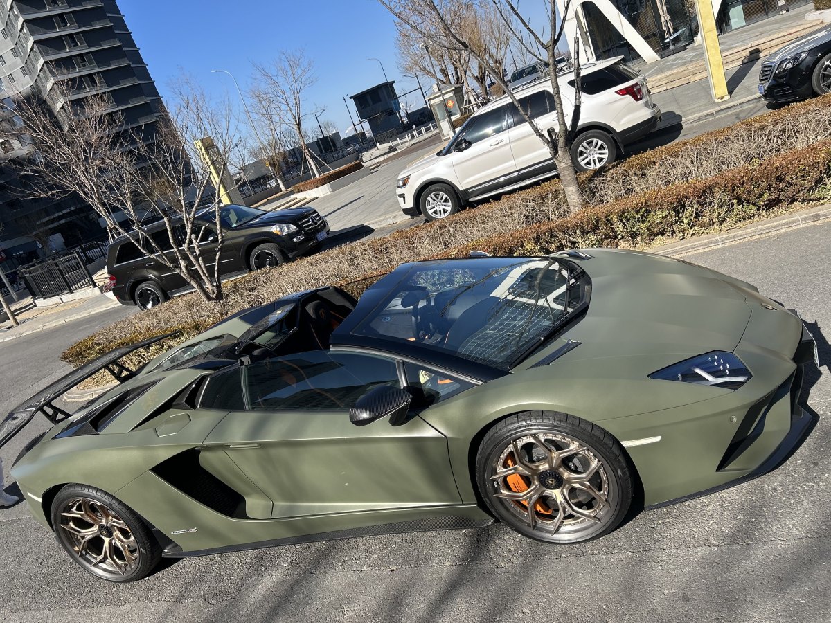 蘭博基尼 Aventador  2018款 Aventador S Roadster圖片