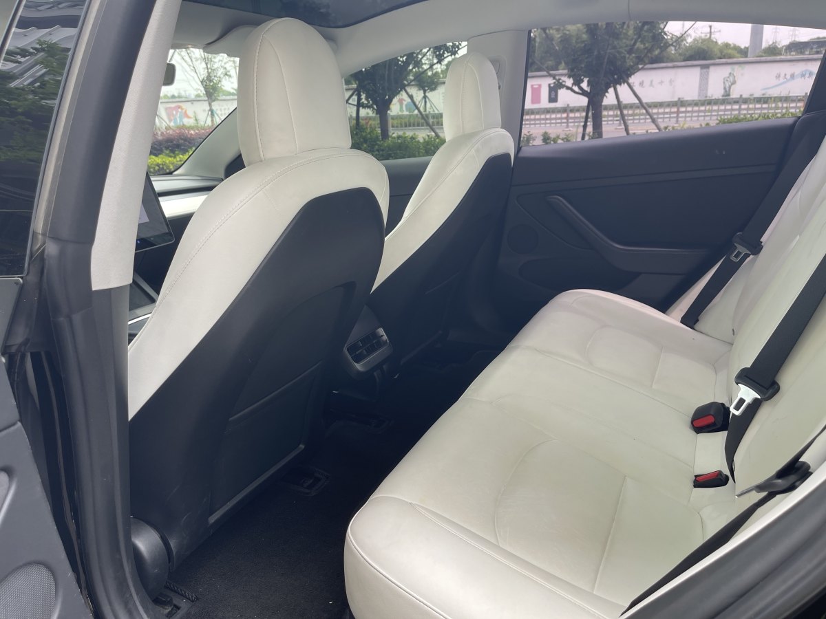 特斯拉 Model 3  2020款 改款 標準續(xù)航后驅升級版圖片