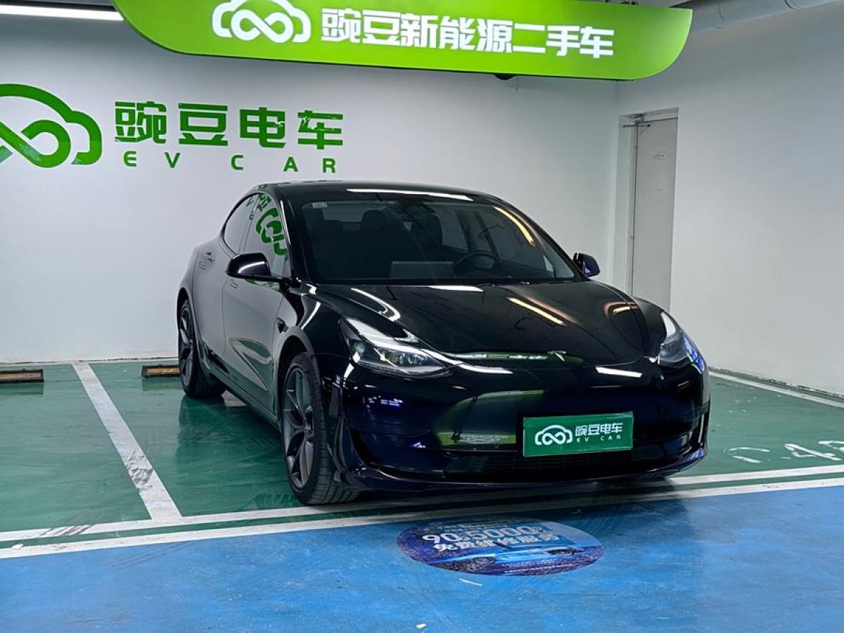 特斯拉 Model 3  2021款 標(biāo)準(zhǔn)續(xù)航后驅(qū)升級(jí)版 3D6圖片