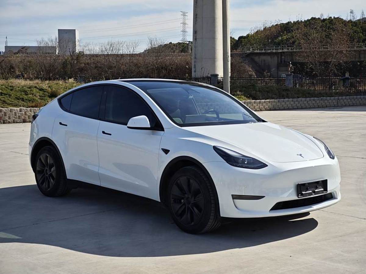 特斯拉 Model 3  2023款 長續(xù)航煥新版 雙電機(jī)全輪驅(qū)動圖片