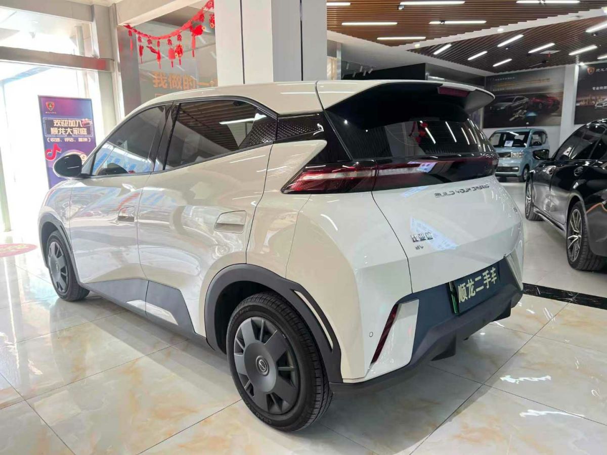 比亞迪 宋L DM-i  2024款 112km 超越型圖片