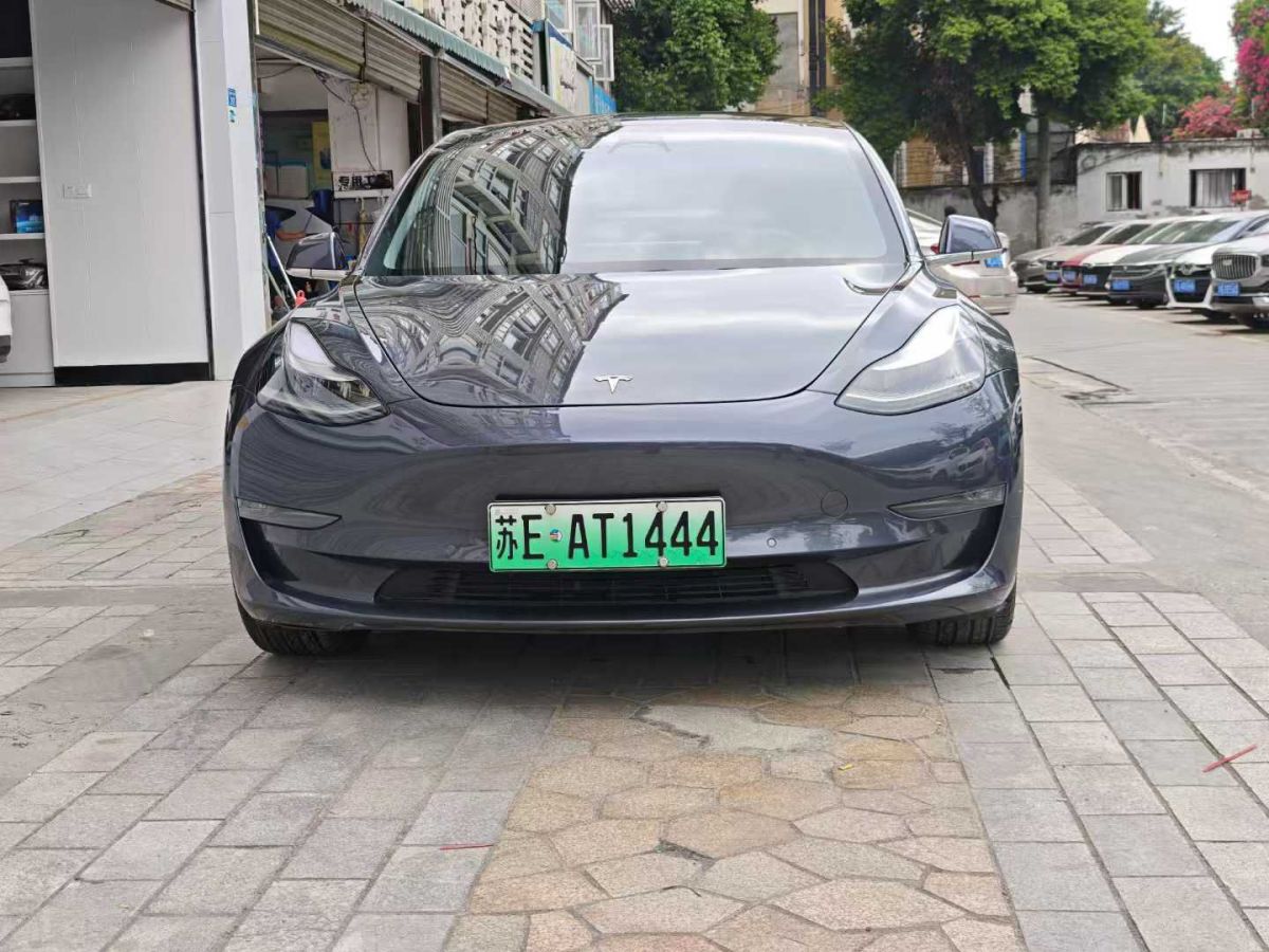 特斯拉 Model 3  2019款 長續(xù)航后驅(qū)版圖片