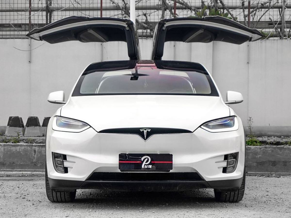 2019年10月特斯拉 Model X  2019款 長續(xù)航版