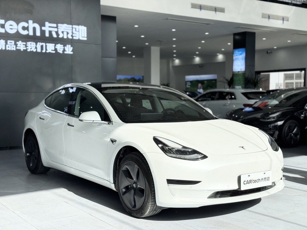 特斯拉 Model 3  2019款 長續(xù)航后驅(qū)版圖片