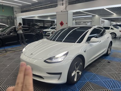 2020年7月 特斯拉 Model 3 标准续航后驱升级版图片