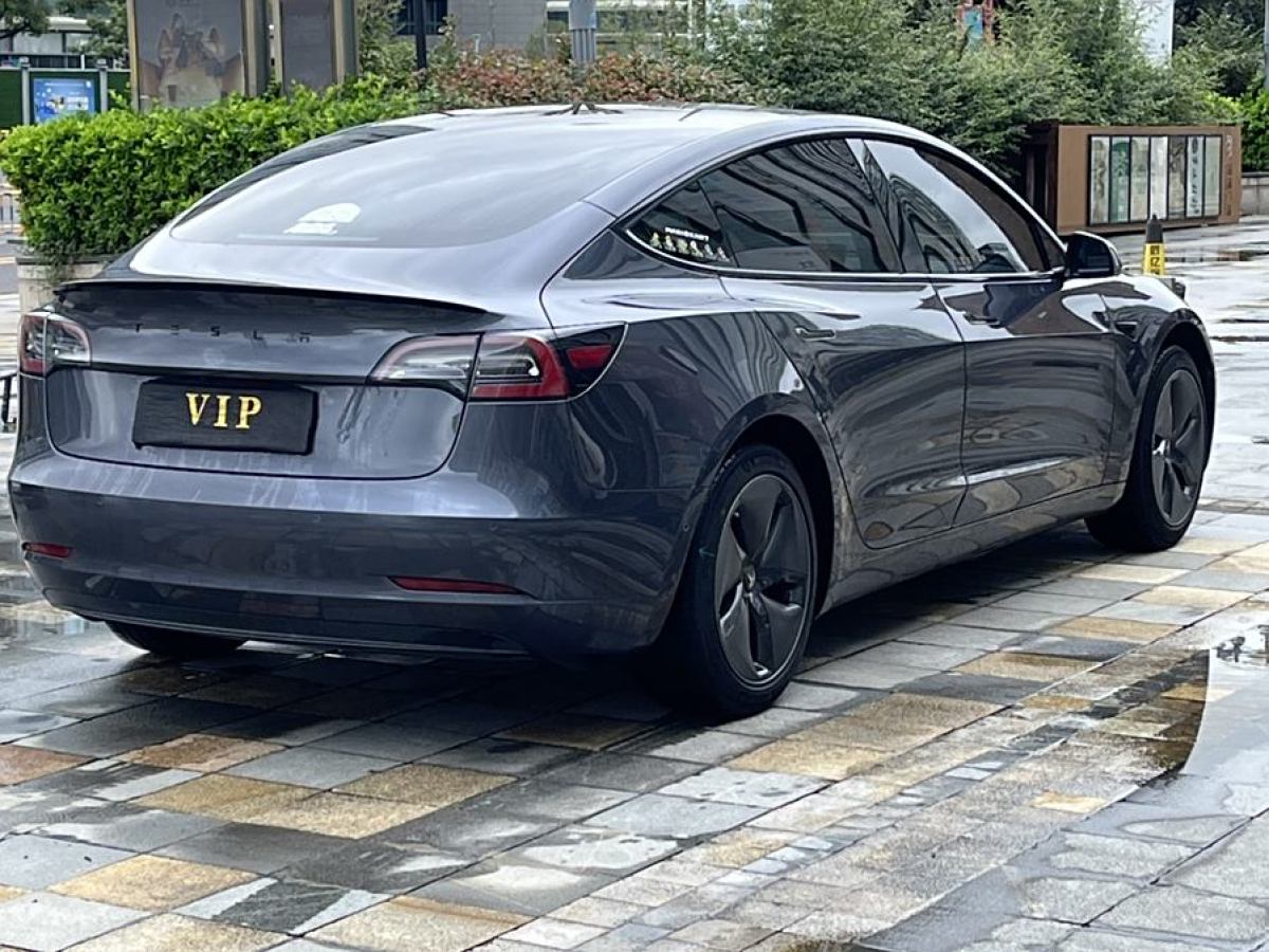 特斯拉 Model 3  2019款 標準續(xù)航后驅升級版圖片