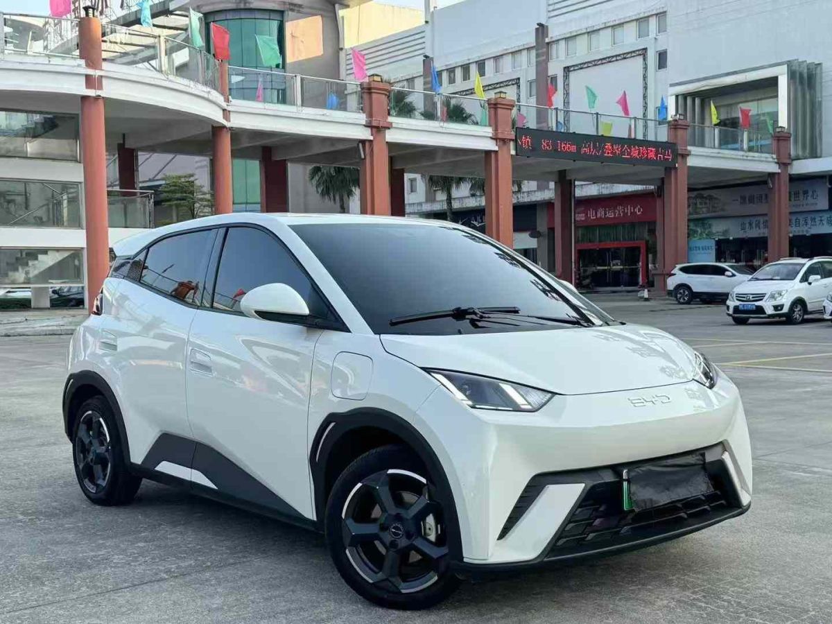 比亞迪 宋L DM-i  2024款 112km 超越型圖片