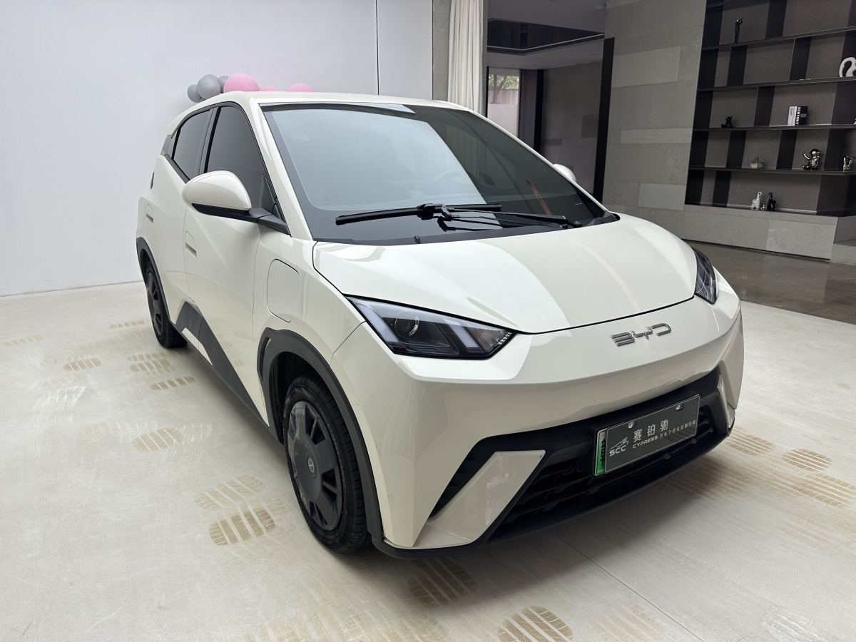 比亞迪 海鷗  2023款 活力版圖片