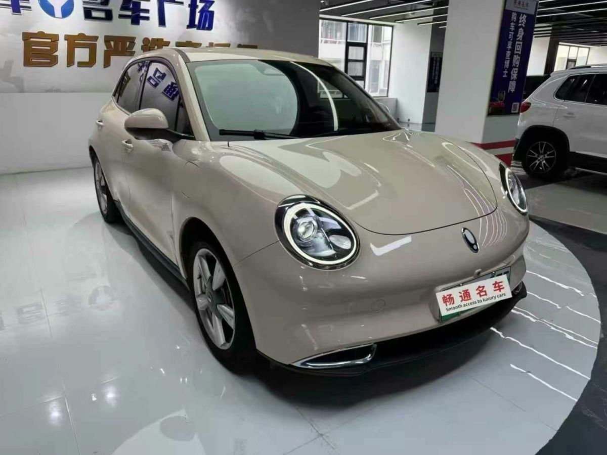 歐拉 歐拉好貓  2022款 400km標準續(xù)航 尊貴型 三元鋰圖片