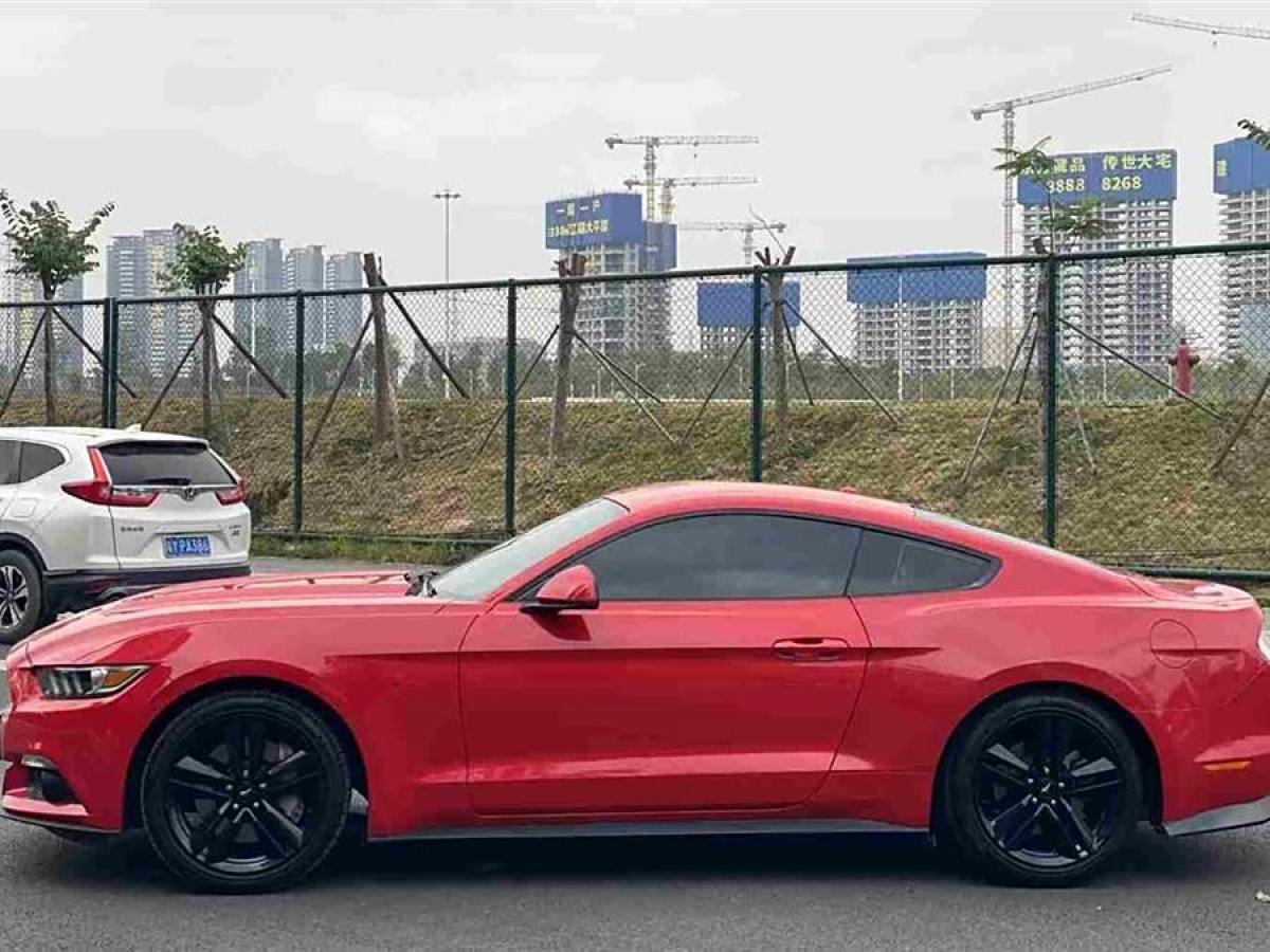 福特 Mustang  2015款 2.3T 性能版圖片