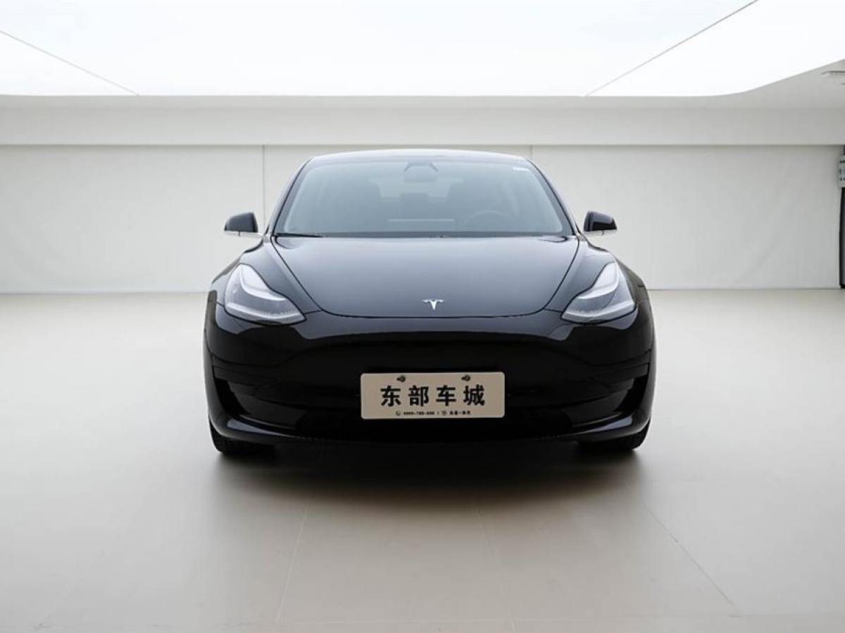 2020年7月特斯拉 Model Y  2020款 改款 標準續(xù)航后驅(qū)升級版