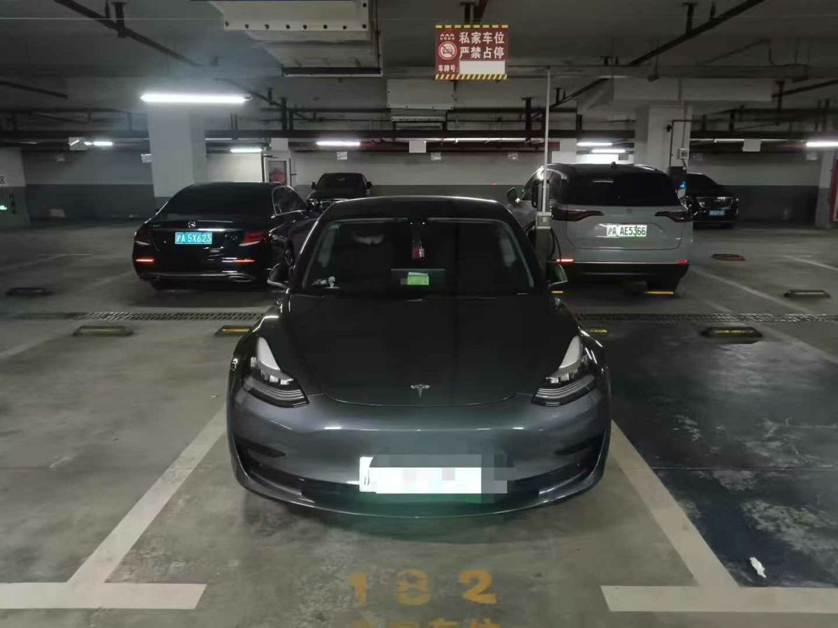 2021年1月特斯拉 Model 3  2021款 標(biāo)準(zhǔn)續(xù)航后驅(qū)版