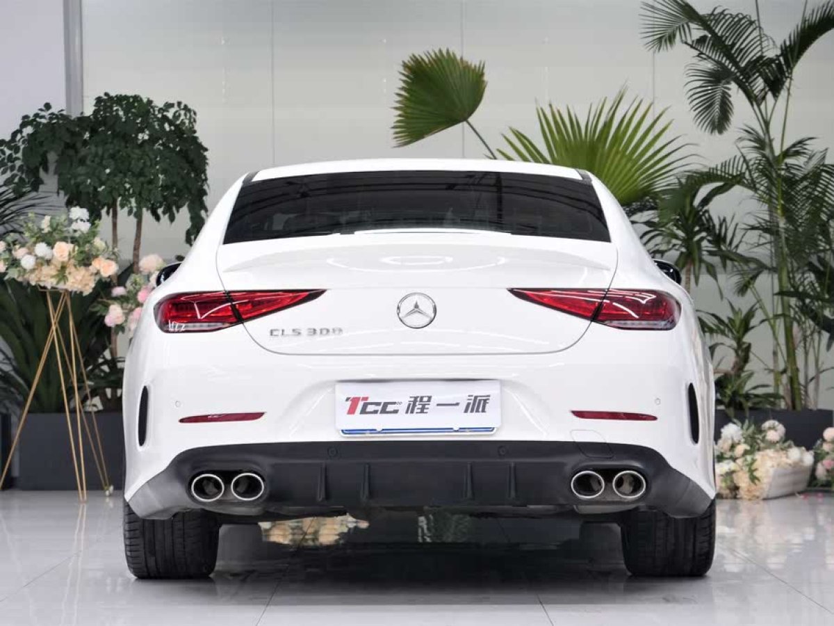 奔馳 奔馳CLS級(jí)  2023款 改款 CLS 300 豪華型圖片
