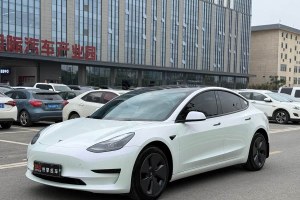 Model 3 特斯拉 后輪驅動版