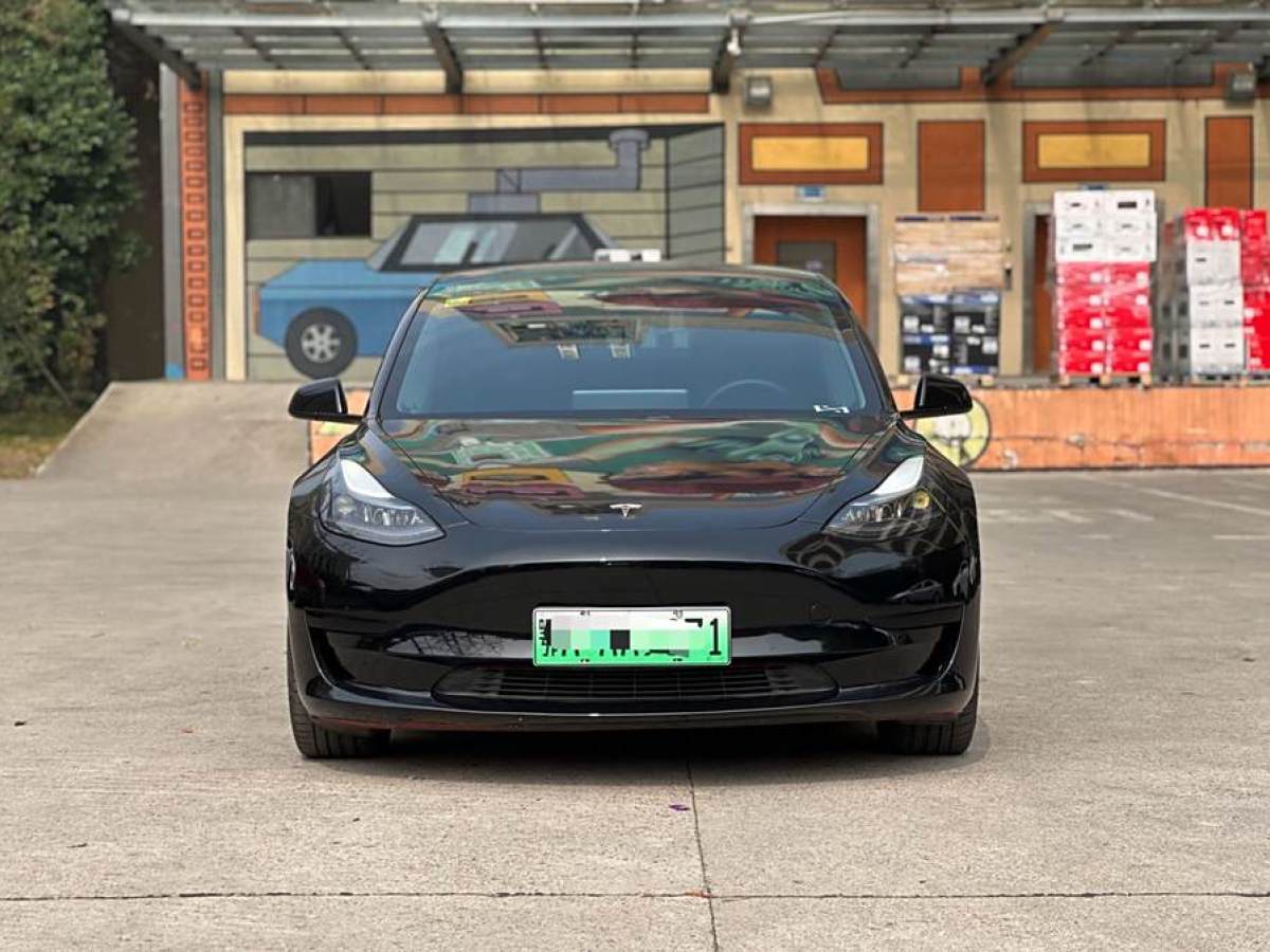 2021年3月特斯拉 Model 3  2021款 改款 標(biāo)準(zhǔn)續(xù)航后驅(qū)升級(jí)版