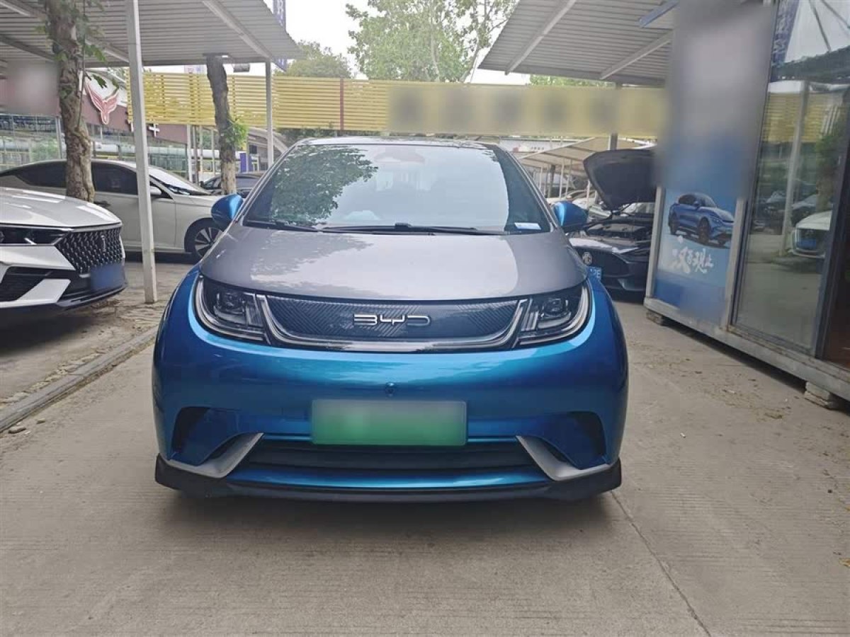 比亞迪 海豚  2021款 401km 騎士版圖片