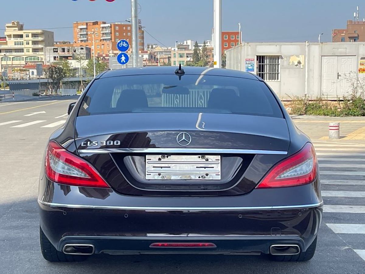 奔馳 奔馳CLS級(jí)  2012款 CLS 300 CGI圖片