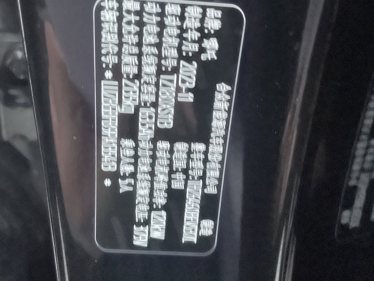 哪吒 哪吒X  2023款 500圖片